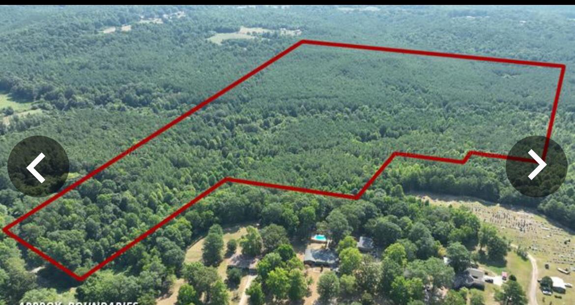 1436 Scott Cemetery Road Carbon Hill, AL 35549 - Photo 2 of 2 Gallery Image 2