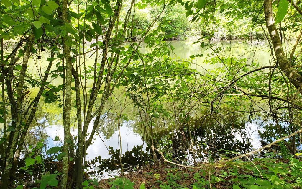 Twin Pond Road Murphy, NC 28906 - Photo 1 of 1 Main View