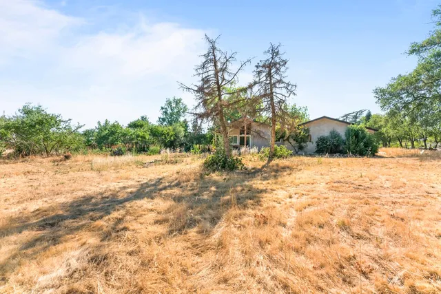 a view of dirt yard with a tree