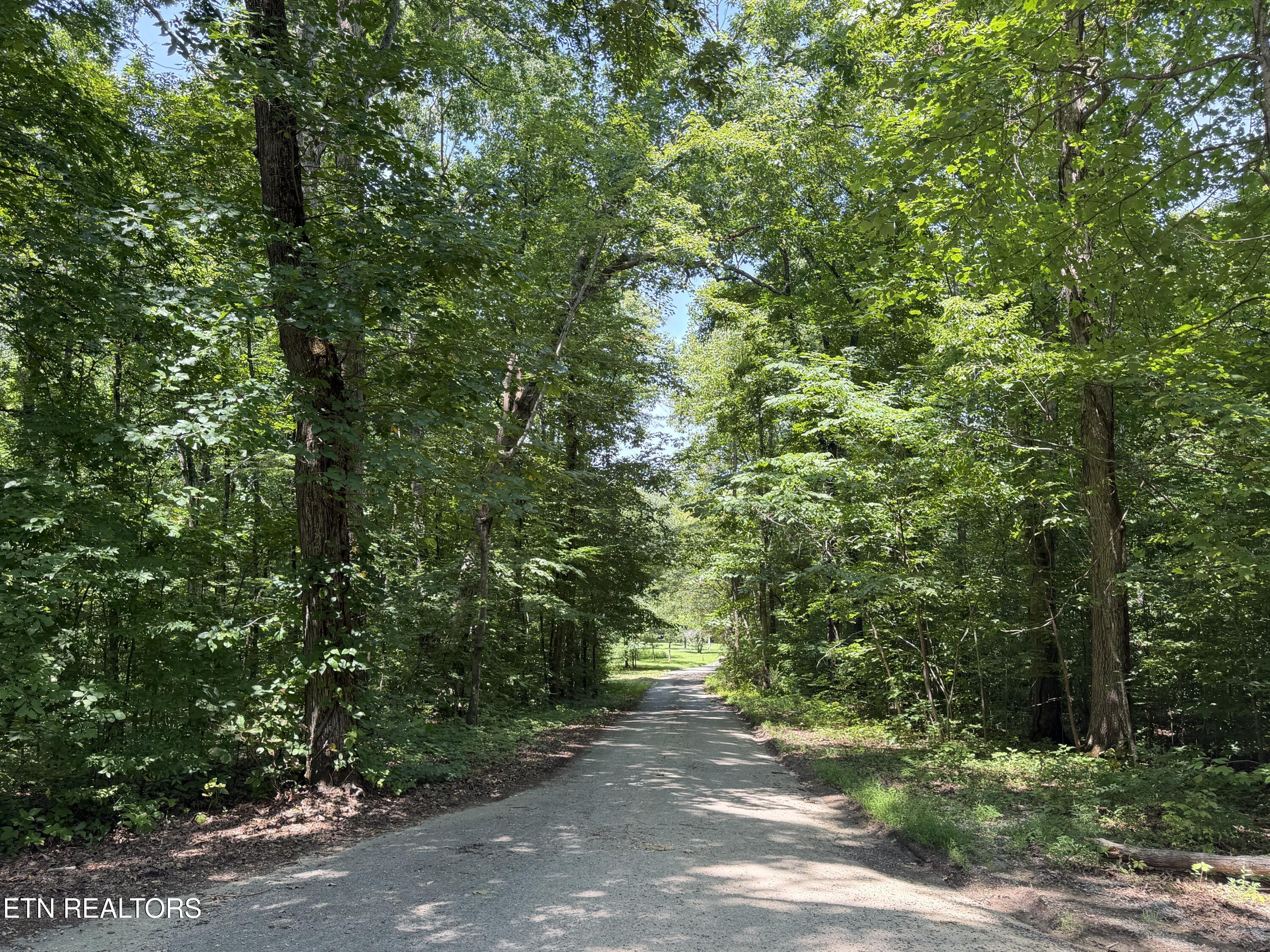 Charles Young Road Walland, TN 37886 - Photo 10 of 14 Looking down the road