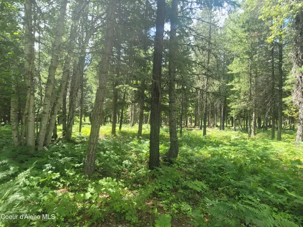 $229,500 | 150 Ranch Road, Naples, ID 83847