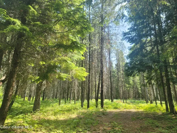 $229,500 | 150 Ranch Road, Naples, ID 83847