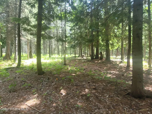 $229,500 | 150 Ranch Road, Naples, ID 83847