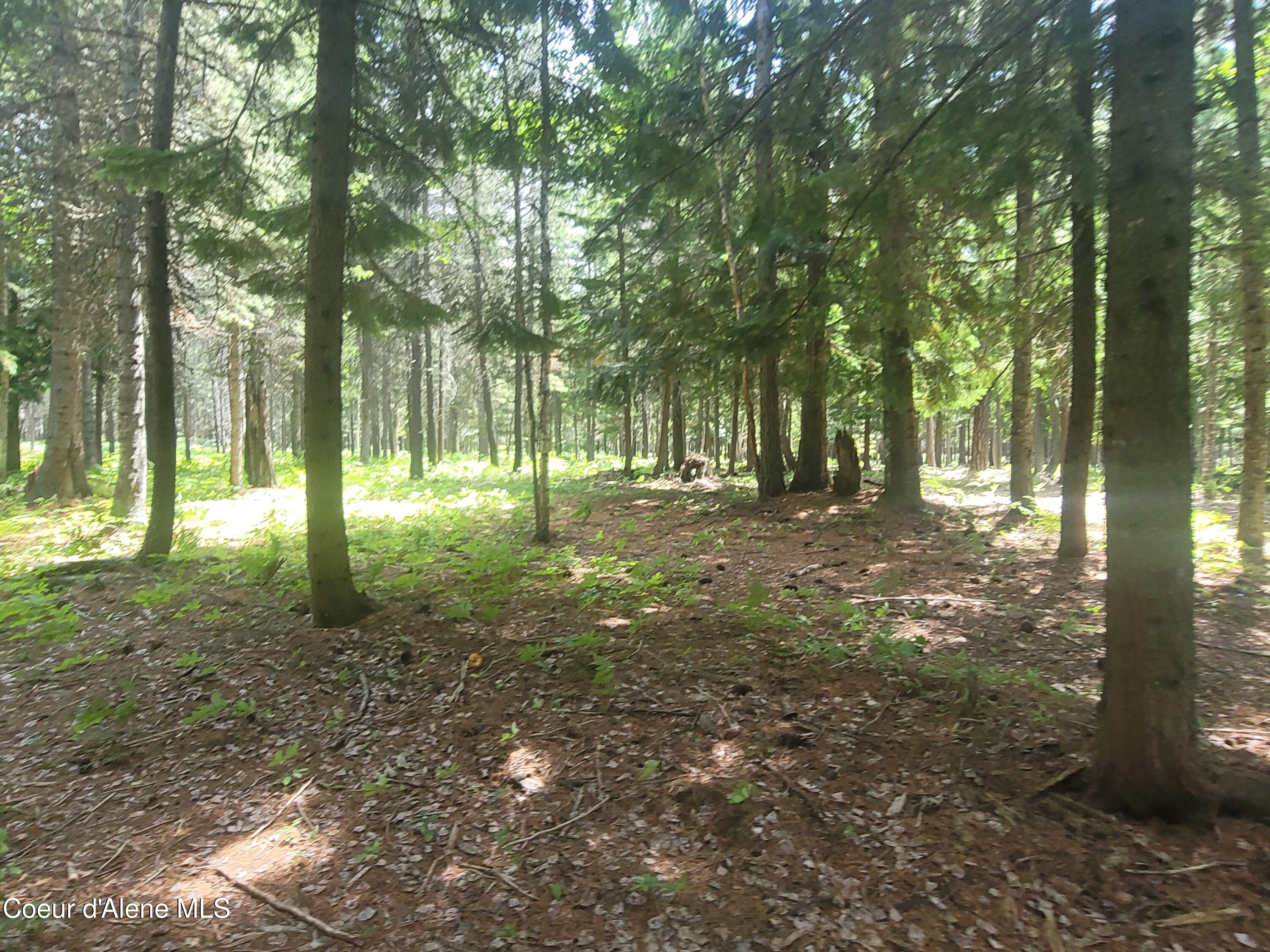 150 Ranch Road Naples, ID 83847 - Photo 10 of 15 10