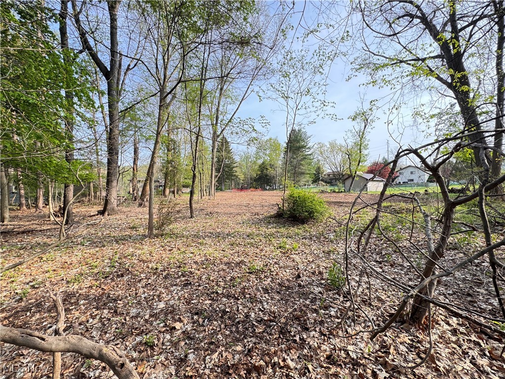 13430 Schreiber Road Valley View, OH 44125 - Photo 17 of 18 Gallery Image 17