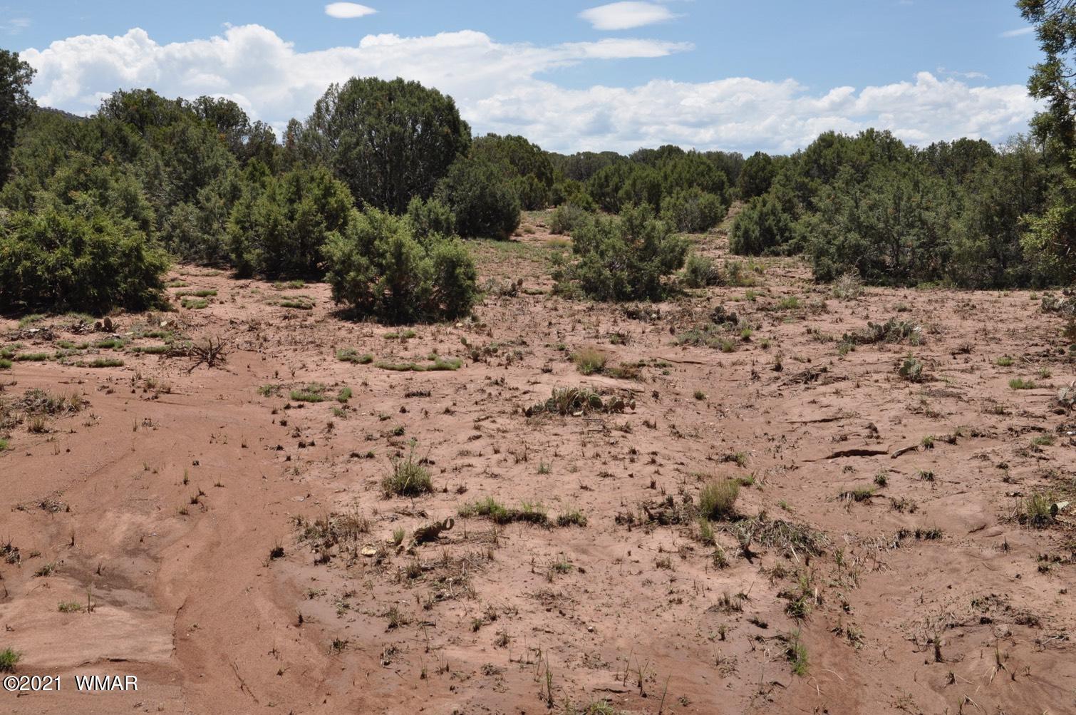 14 Pinon Concho, AZ 85924 - Photo 11 of 13