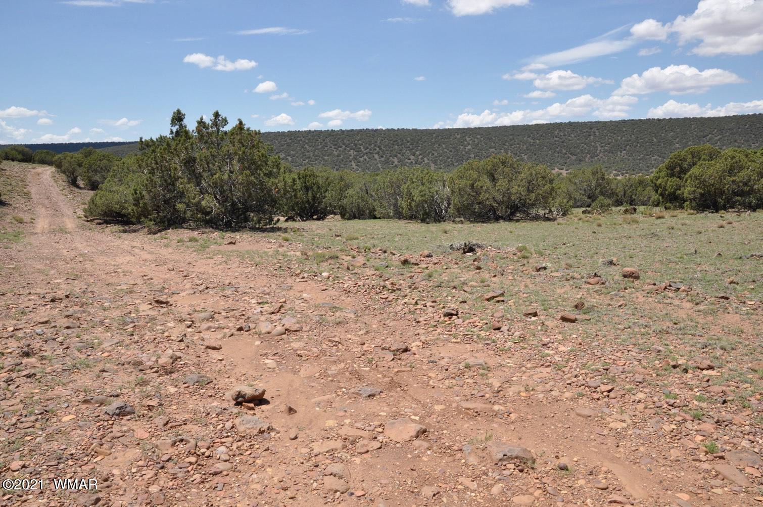 14 Pinon Concho, AZ 85924 - Photo 13 of 13