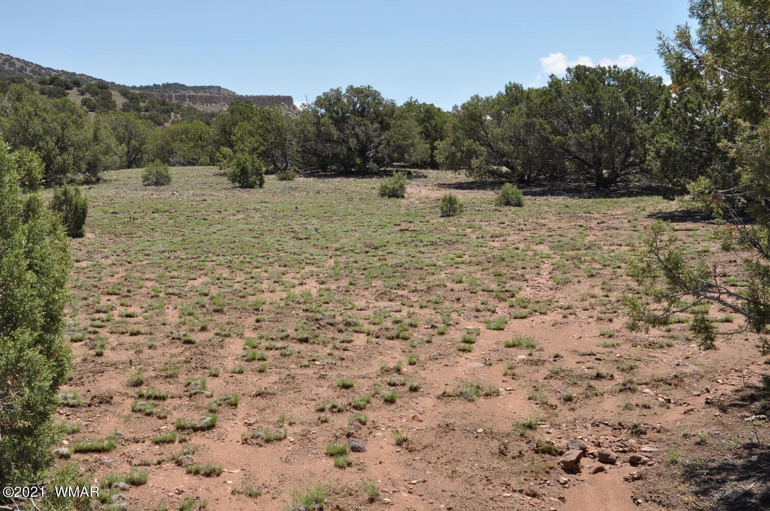 14 Pinon Concho, AZ 85924 - Photo 2 of 13