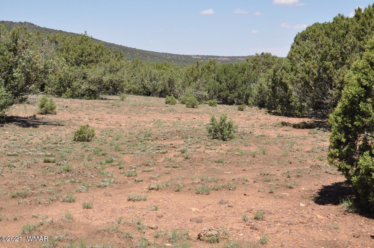 14 Pinon Concho, AZ 85924 - Photo 3 of 13