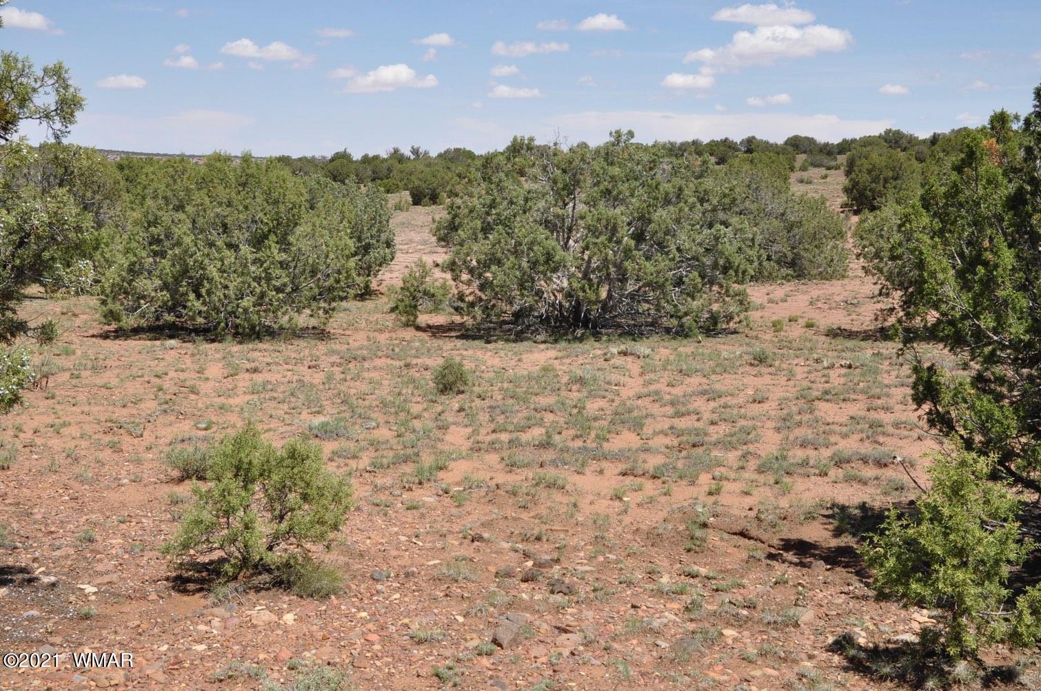 14 Pinon Concho, AZ 85924 - Photo 4 of 13