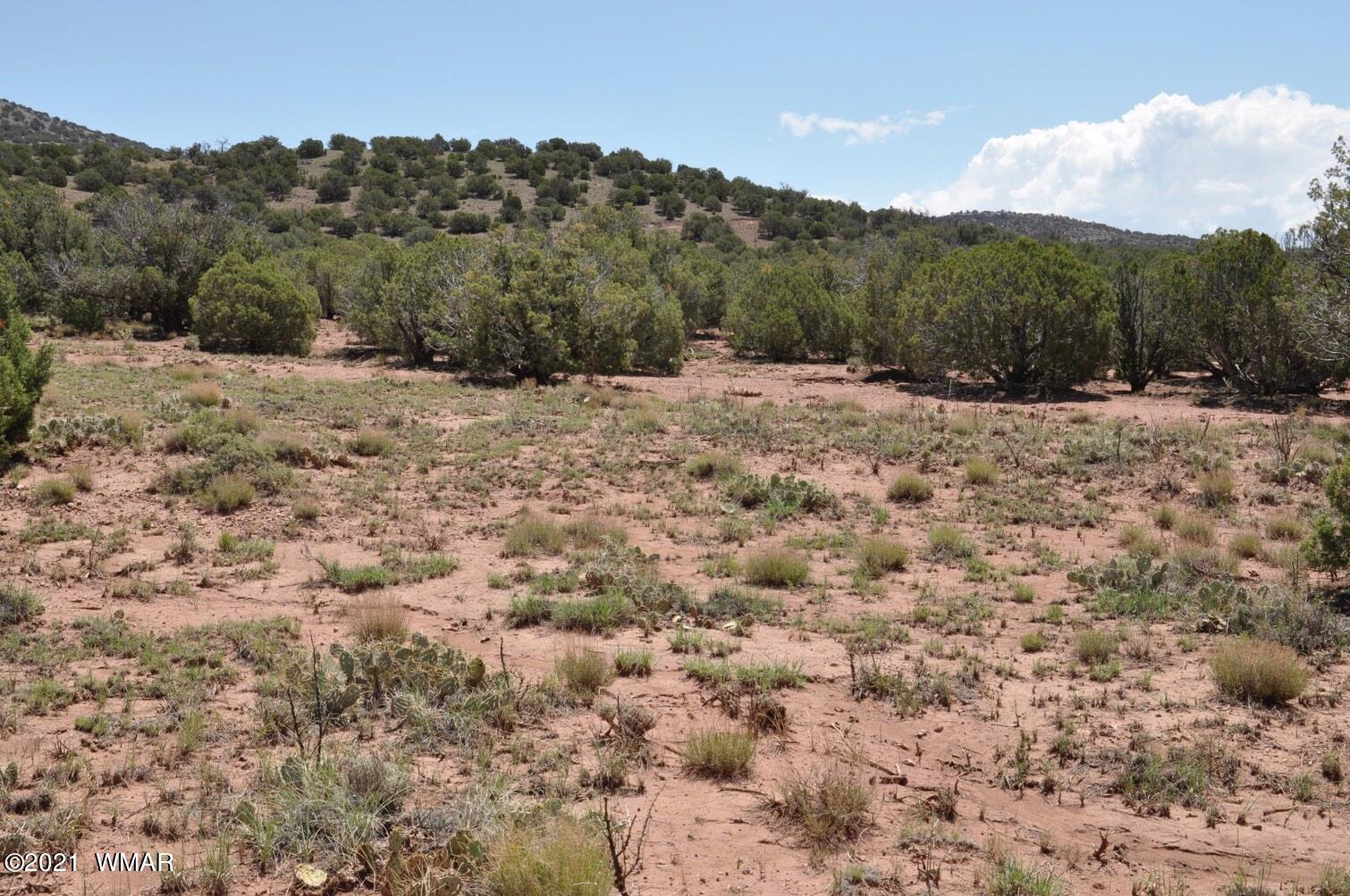 14 Pinon Concho, AZ 85924 - Photo 6 of 13