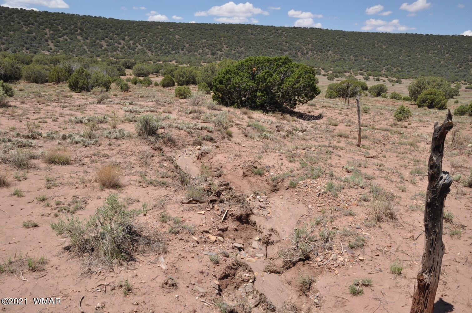 14 Pinon Concho, AZ 85924 - Photo 7 of 13