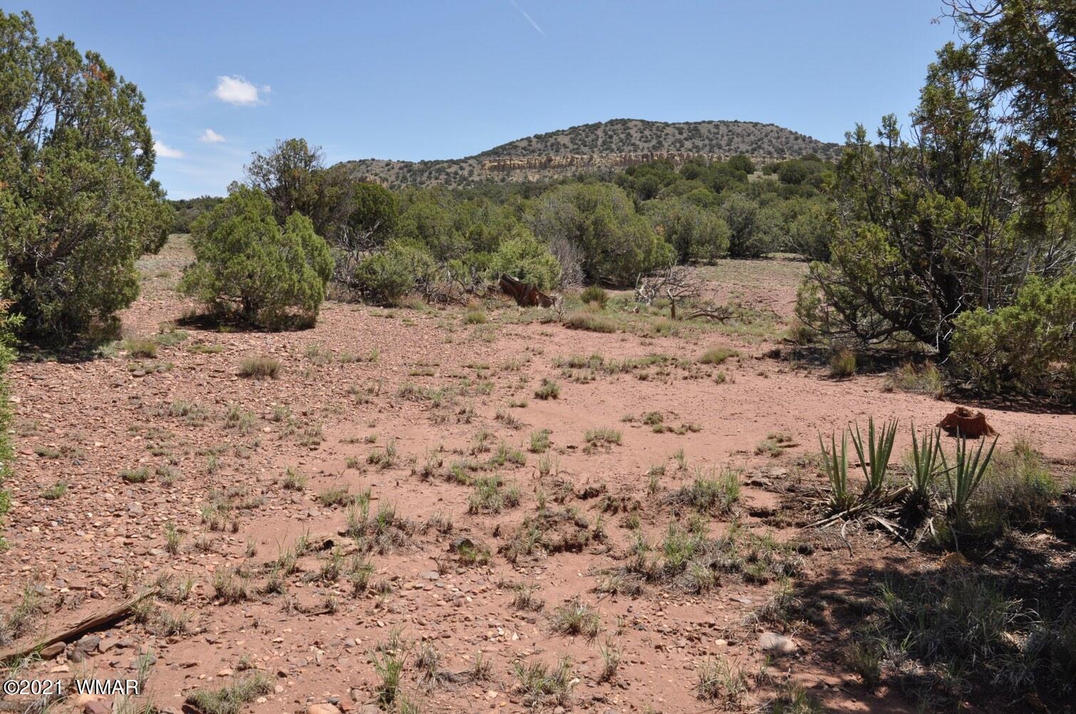 14 Pinon Concho, AZ 85924 - Photo 8 of 13