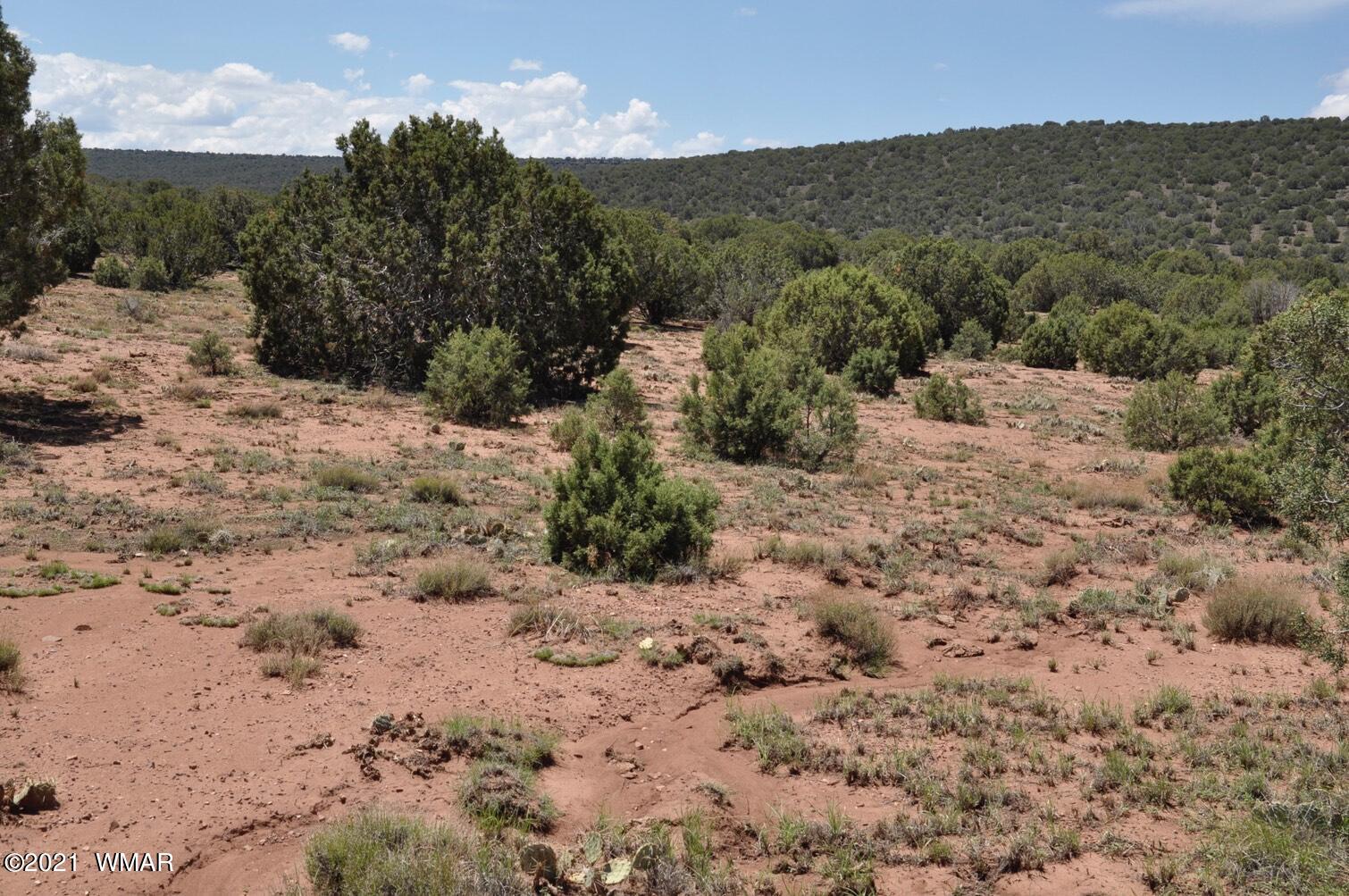 14 Pinon Concho, AZ 85924 - Photo 10 of 13
