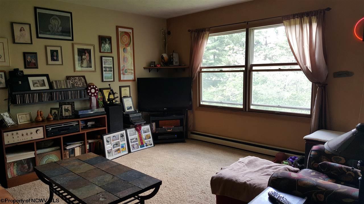 160 Old Sawmill Road Independence, WV 26374 - Photo 13 of 20 Gallery Image 13