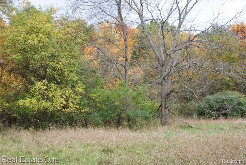 1 Sutton Road Metamora, MI 48455 - Photo 4 of 4