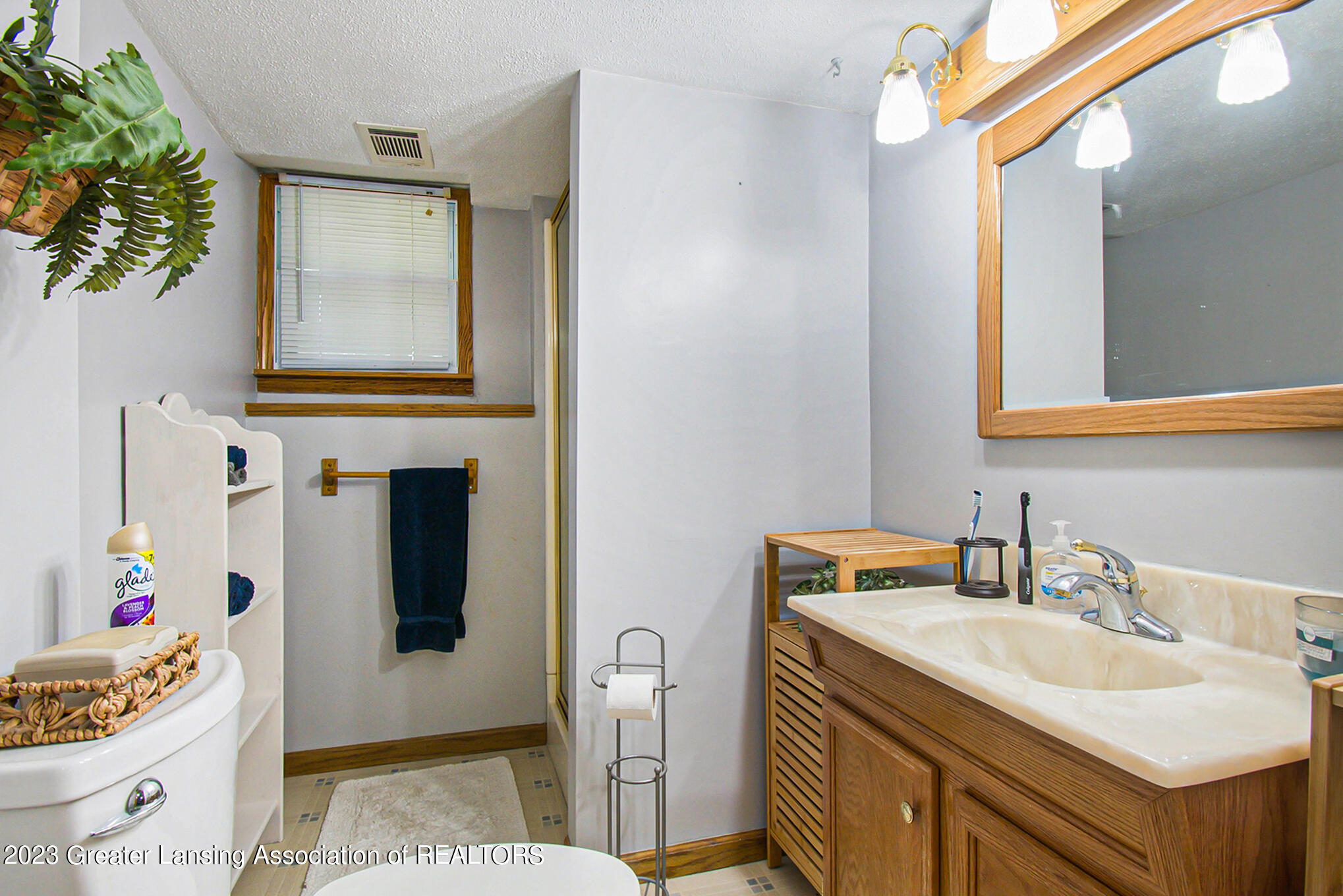 530 Garrison Road Owosso, MI 48867 - Photo 14 of 34 015_ndp9084