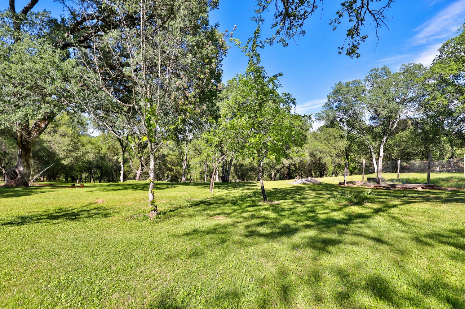 3840 Greenstone Road Placerville, CA 95667 - Photo 28 of 49 a swimming pool with lots of tress in front of it