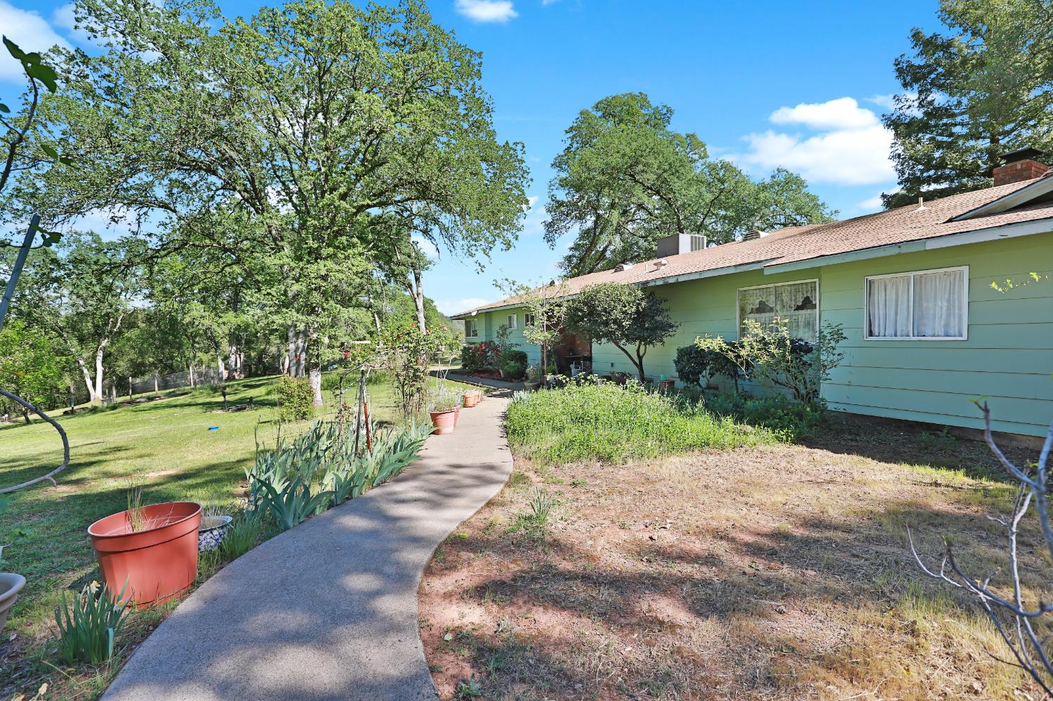 3840 Greenstone Road Placerville, CA 95667 - Photo 3 of 49 a view of a backyard with potted plants and large trees