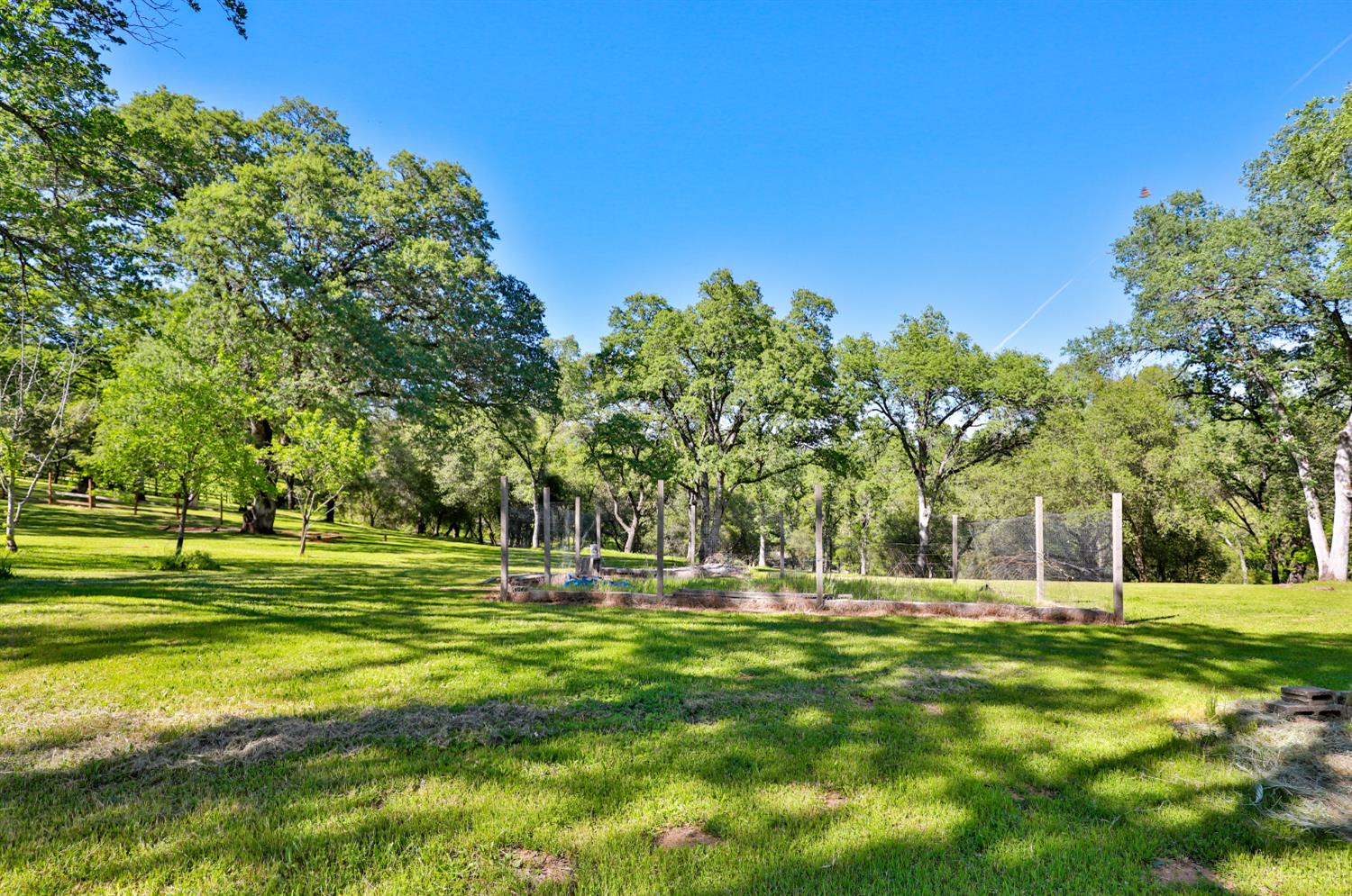 3840 Greenstone Road Placerville, CA 95667 - Photo 31 of 49 a garden view with trees