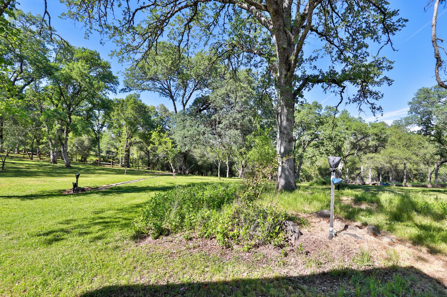 3840 Greenstone Road Placerville, CA 95667 - Photo 37 of 49 a view of a park with large trees