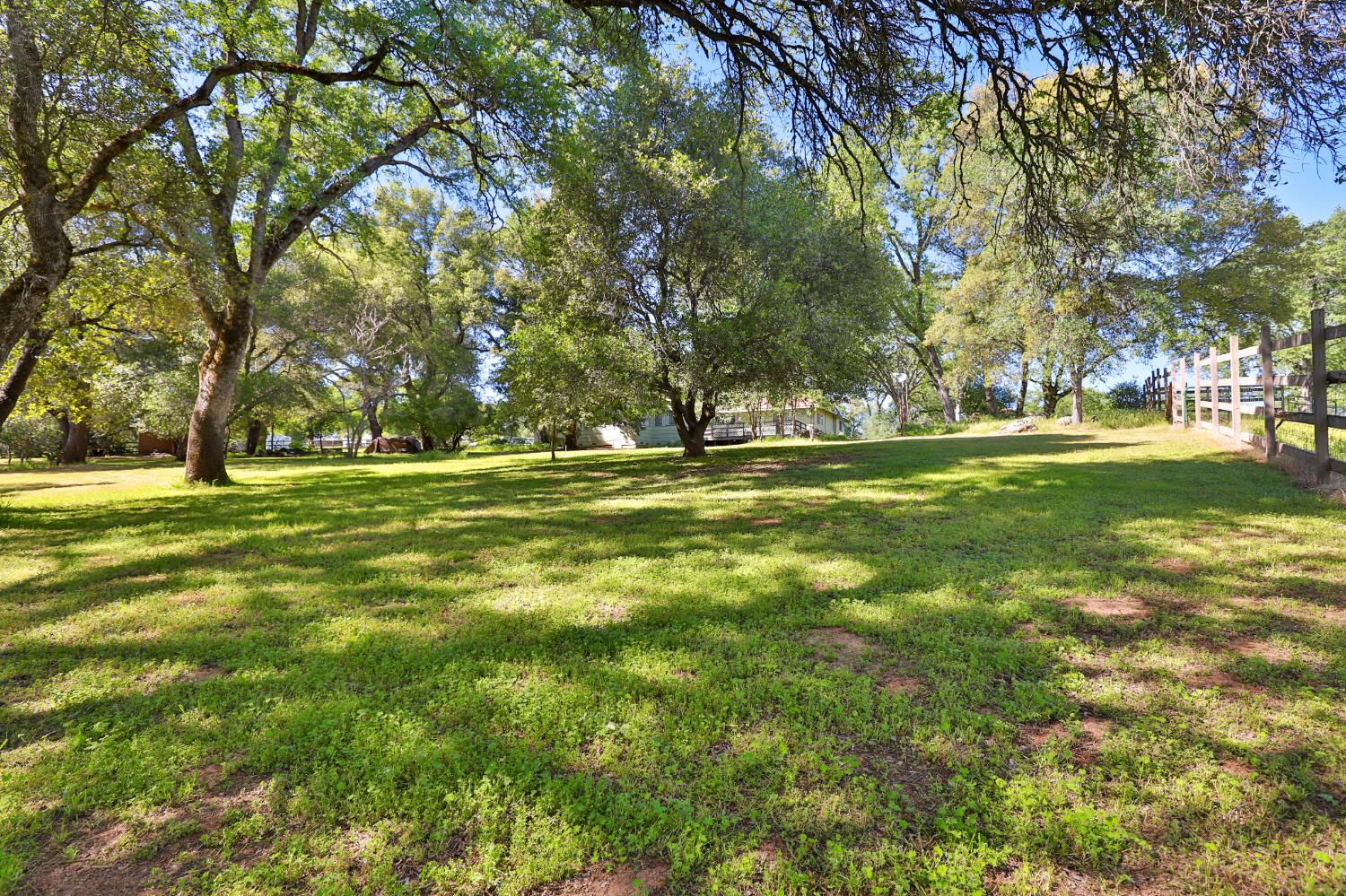 3840 Greenstone Road Placerville, CA 95667 - Photo 38 of 49 a big yard with lots of trees