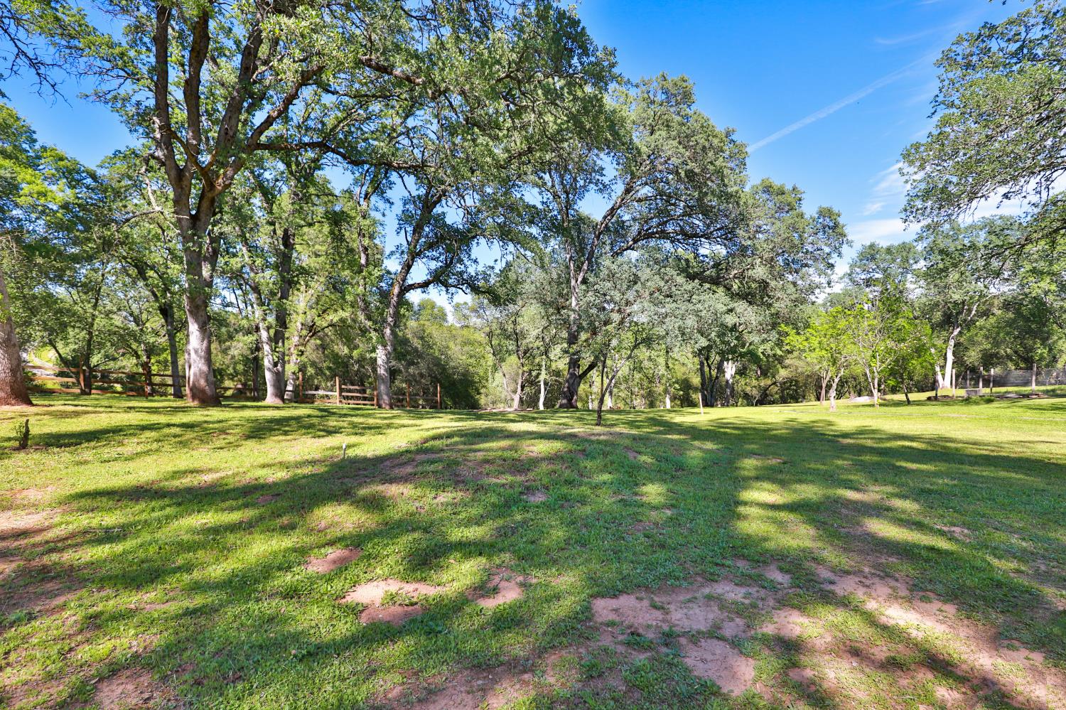 3840 Greenstone Road Placerville, CA 95667 - Photo 39 of 49 a view of a trees in a yard