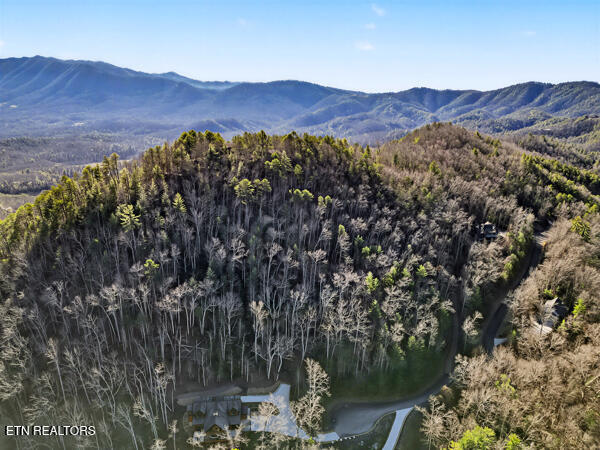 514 Chetola Trail Townsend, TN 37882 - Photo 9 of 11 Chetola 10