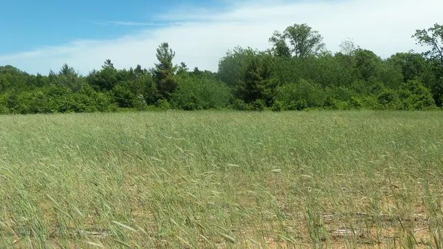 $22,900 | Lot 18 Maple Lane, Siren, WI 54872