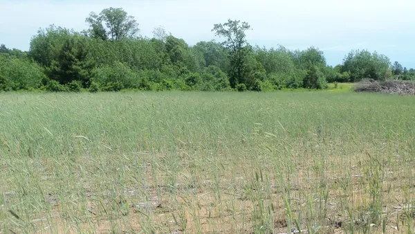 $22,900 | Lot 18 Maple Lane, Siren, WI 54872