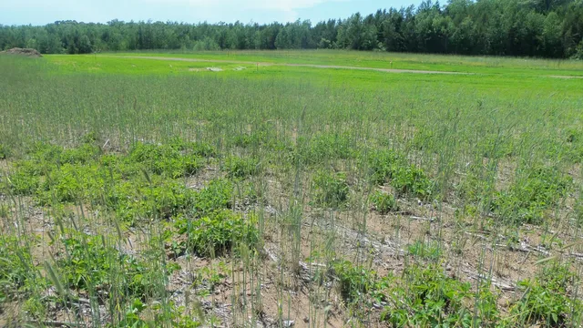 $22,900 | Lot 18 Maple Lane, Siren, WI 54872