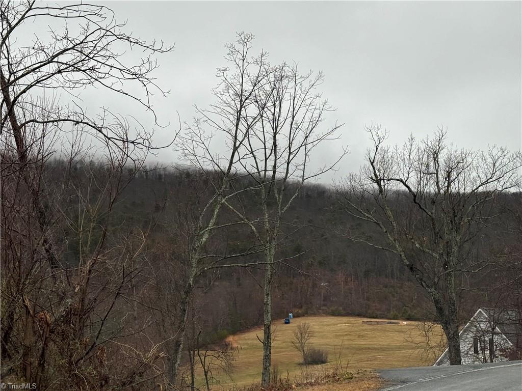 0 YMCA Camp Road King, NC 27021 - Photo 15 of 19 Views of surrounding mountains