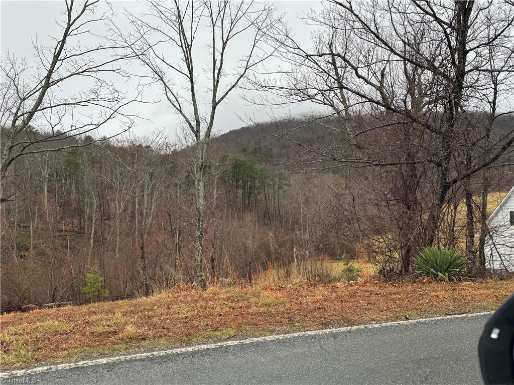 0 YMCA Camp Road King, NC 27021 - Photo 3 of 19
