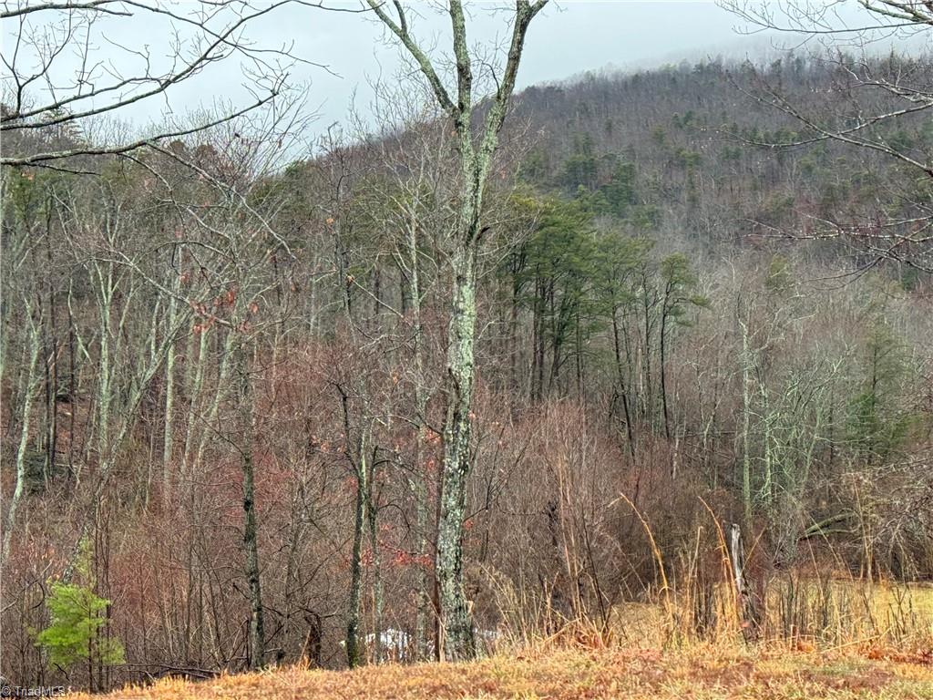 0 YMCA Camp Road King, NC 27021 - Photo 4 of 19