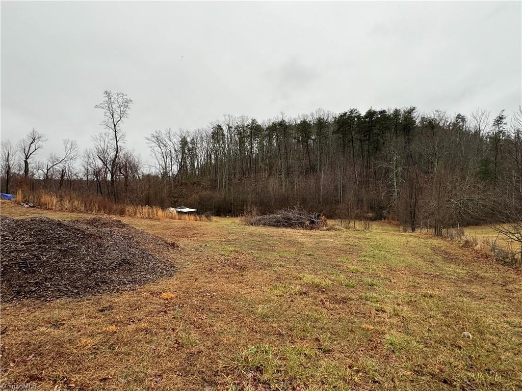 0 YMCA Camp Road King, NC 27021 - Photo 8 of 19