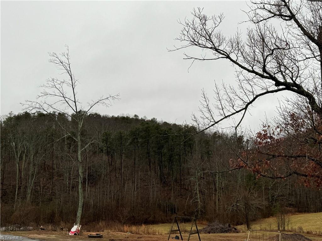 0 YMCA Camp Road King, NC 27021 - Photo 10 of 19