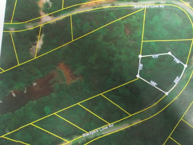 Lot 8 Blackjack Cove Road Westminster, SC 29693 - Photo 1 of 1 Gallery Image 1