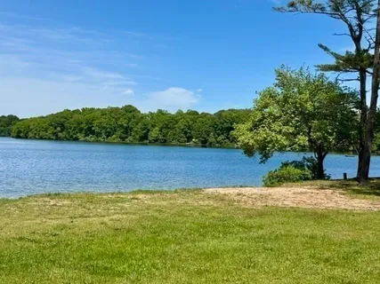 a view of park with tree s