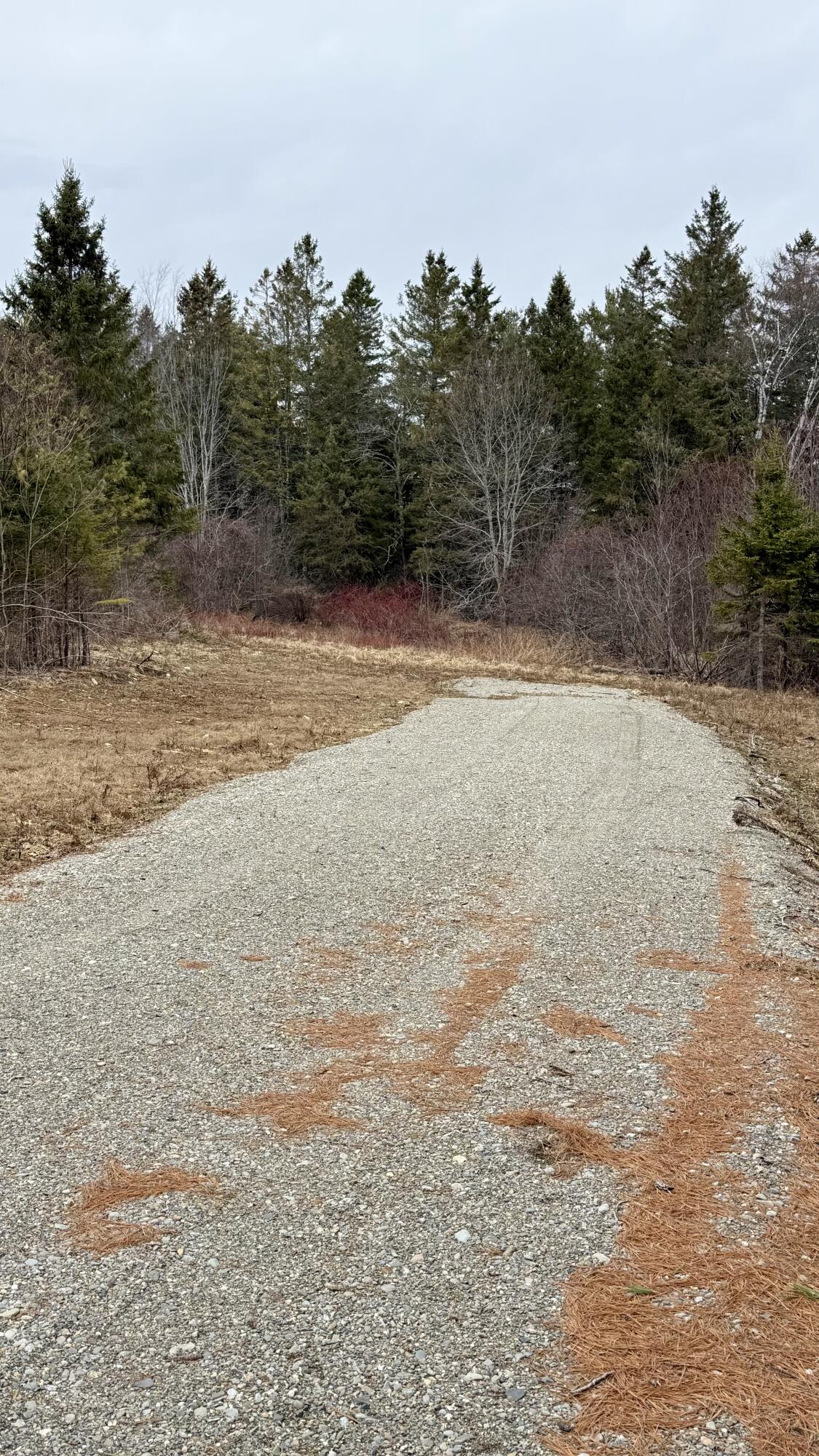 Lot # Meadow Road Winterport, ME 04496 - Photo 4 of 9 IMG_1612