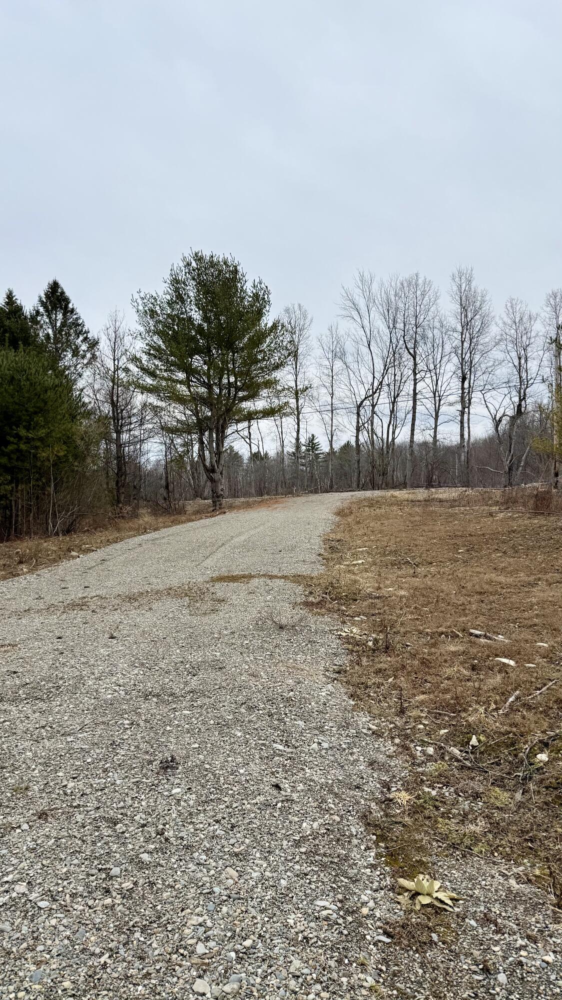 Lot # Meadow Road Winterport, ME 04496 - Photo 9 of 9 IMG_1614