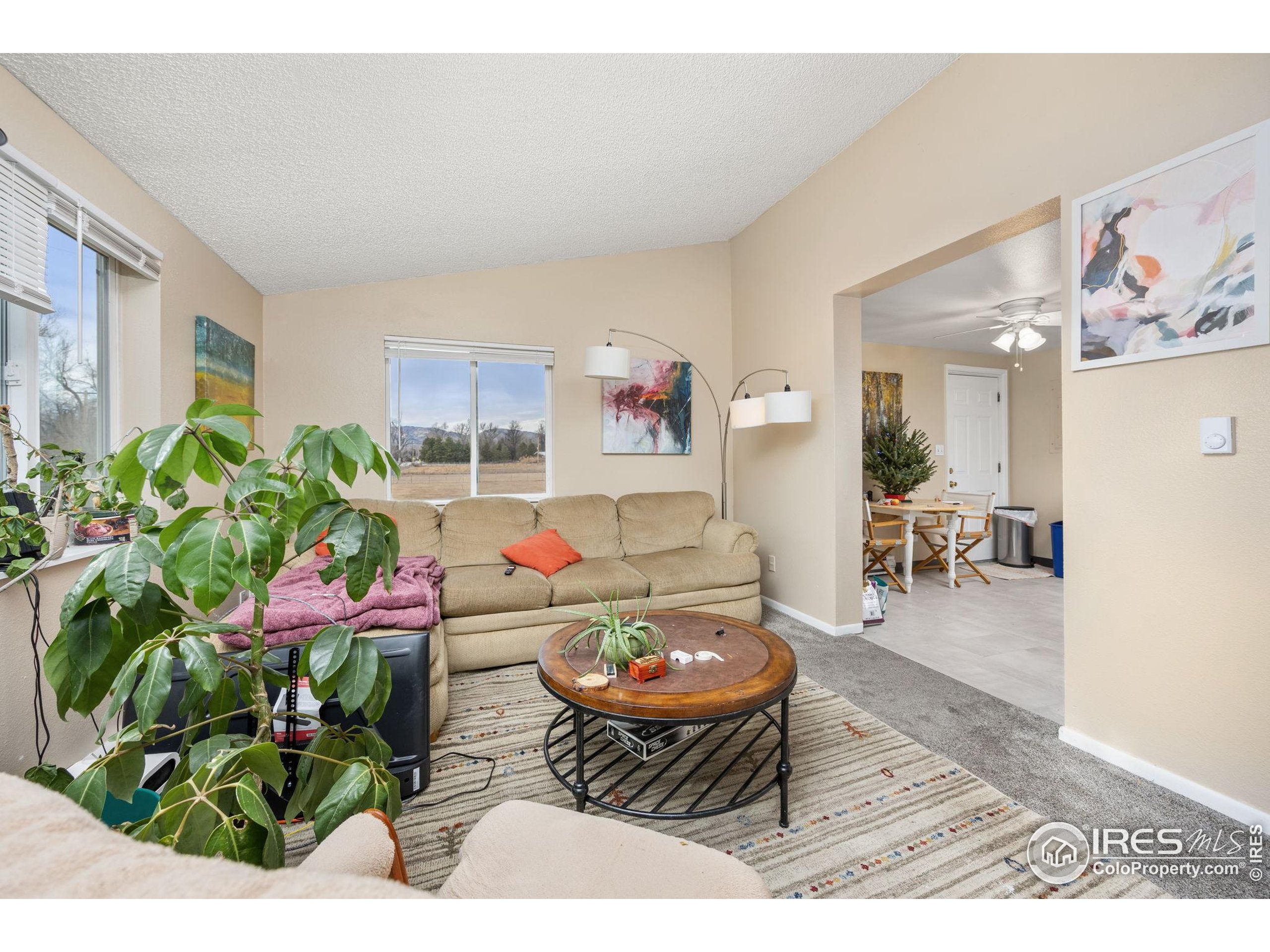701 Aztec Drive Fort Collins, CO 80521 - Photo 15 of 43 a living room with furniture and a potted plant