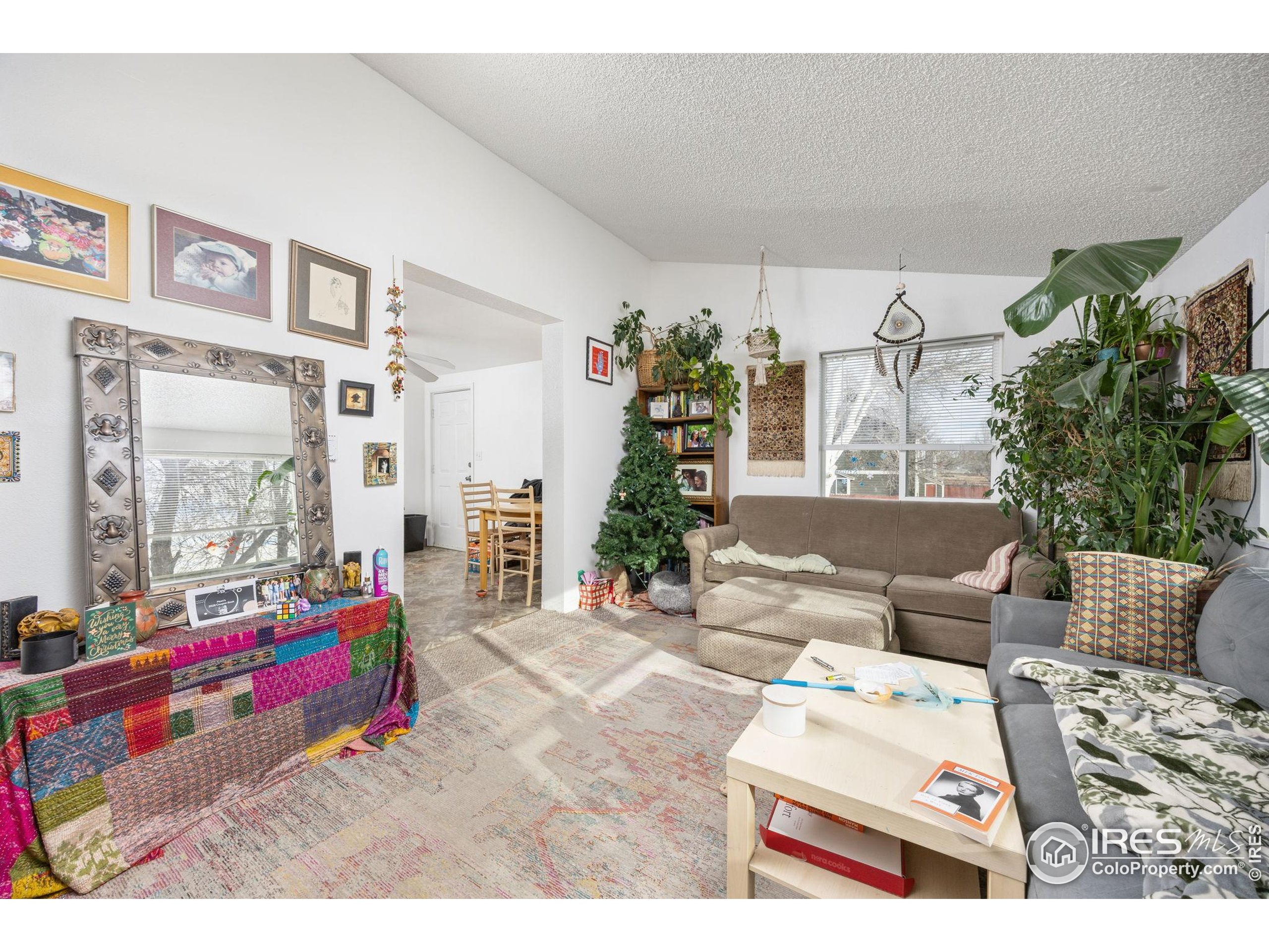 701 Aztec Drive Fort Collins, CO 80521 - Photo 6 of 43 a living room with furniture and a potted plant