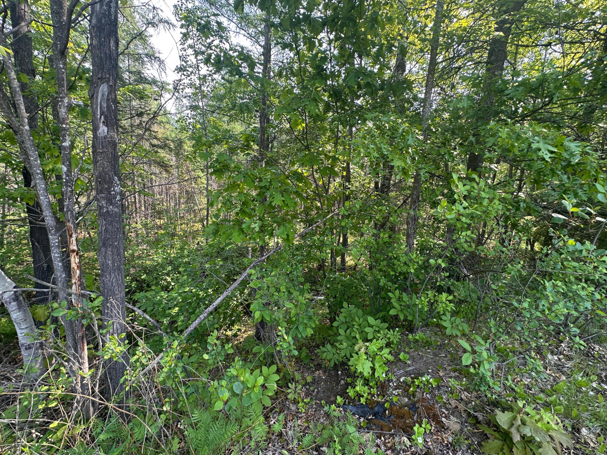 1640 Balsam Street, Unit 26 Rhinelander, WI 54501 - Photo 12 of 17 Gallery Image 12