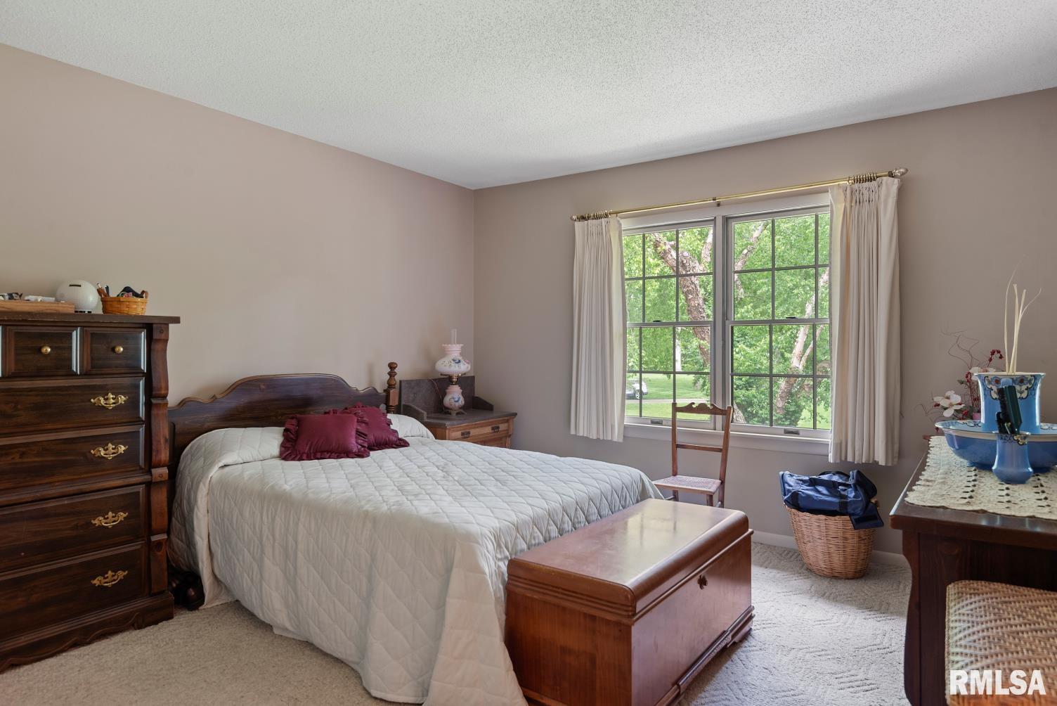 2242 Lake Jacksonville Road Jacksonville, IL 62650 - Photo 37 of 74