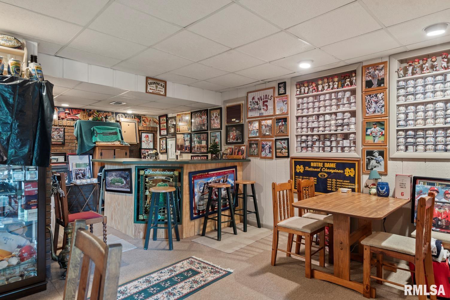 2242 Lake Jacksonville Road Jacksonville, IL 62650 - Photo 53 of 74