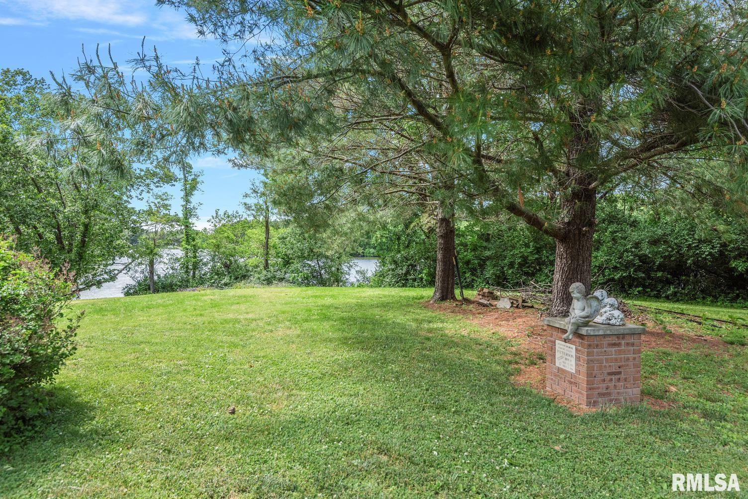 2242 Lake Jacksonville Road Jacksonville, IL 62650 - Photo 9 of 74