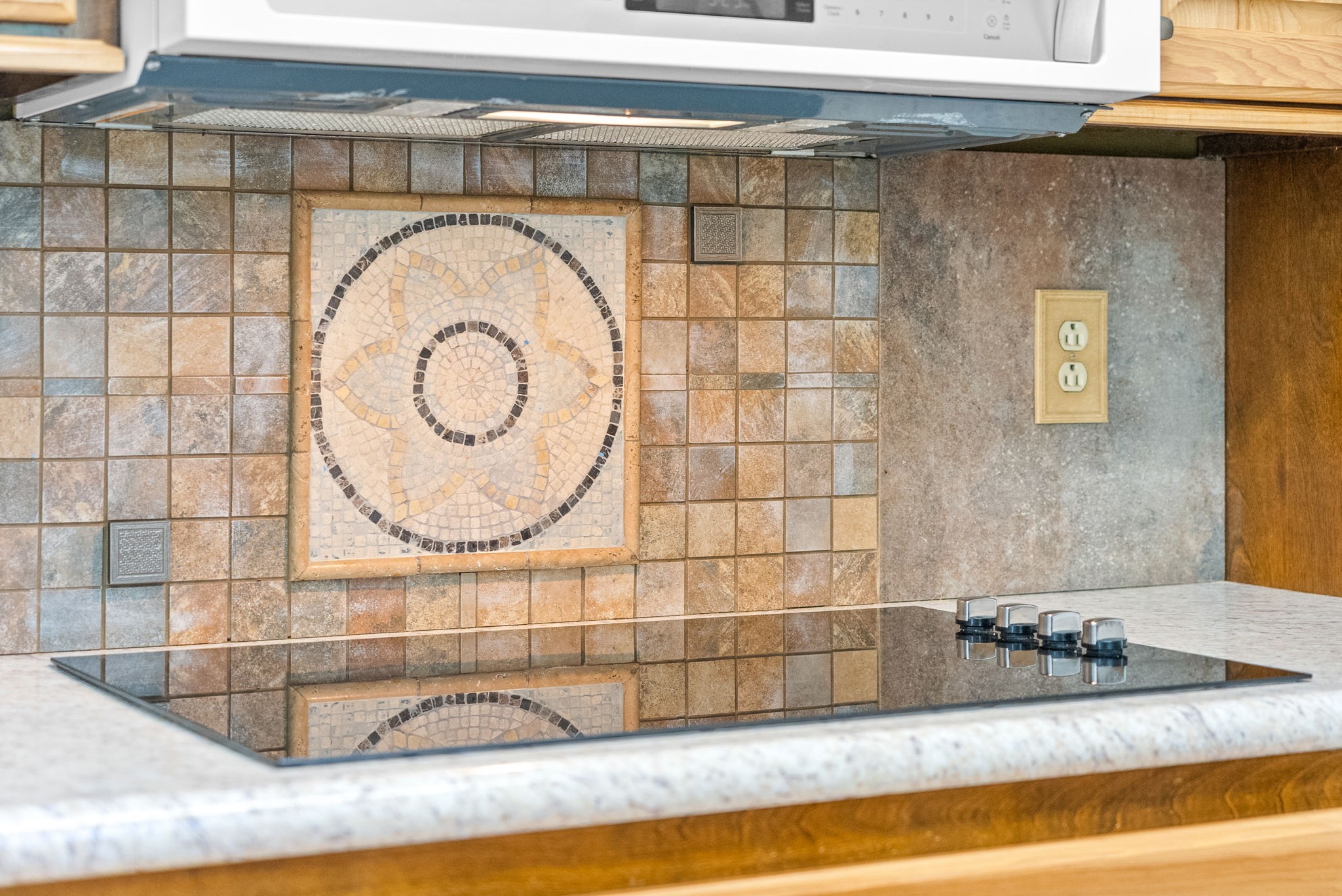 1370 Dunbar Cave Road Clarksville, TN 37043 - Photo 12 of 63 a bathroom with a tub and a shower