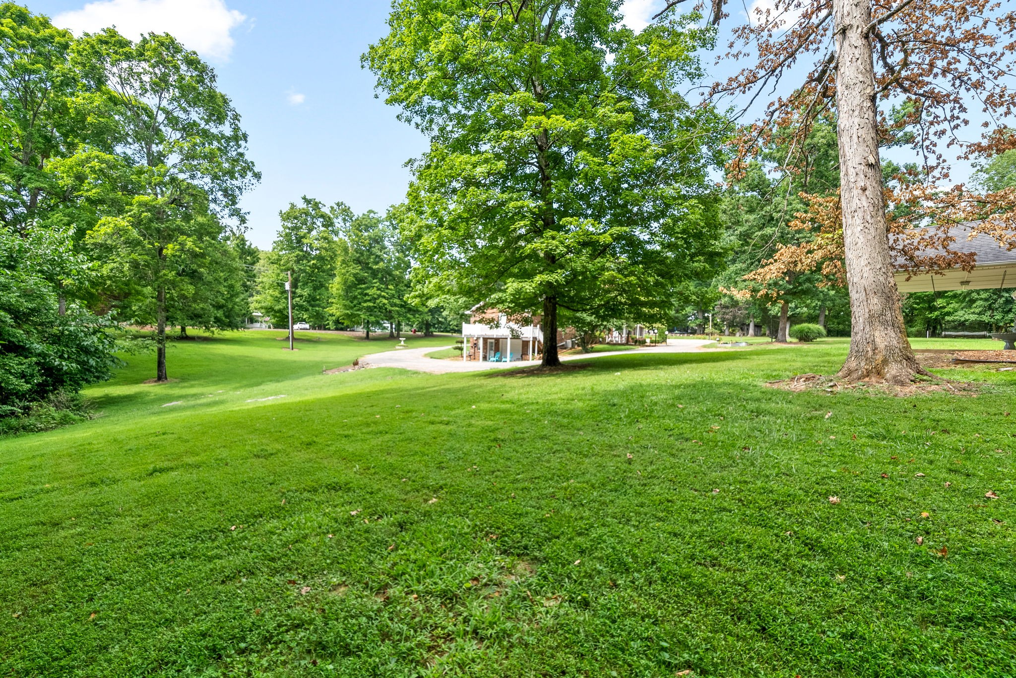 1370 Dunbar Cave Road Clarksville, TN 37043 - Photo 50 of 63 a view of green field with trees in the background