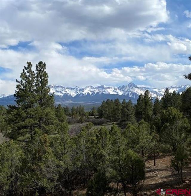 294 Marmot Drive Ridgway, CO 81432 - Photo 4 of 7