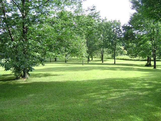 5501 Gilbert Road Centerburg, OH 43011 - Photo 18 of 25